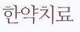 한약치료