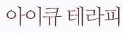 아이큐 테라피